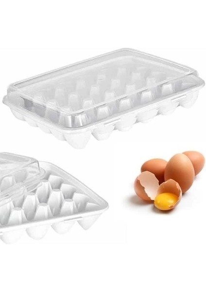 30LU Yumurta Saklama Kabı