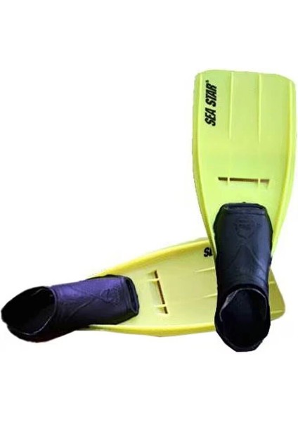 Npl-Sea Sea Star Palet 36/37