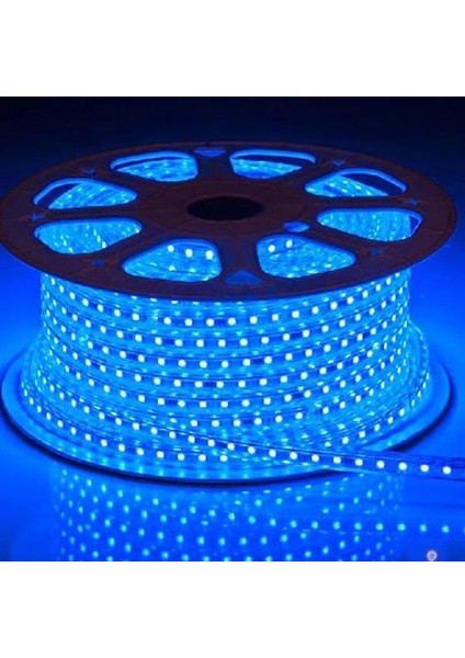 9-16 100 Metre Mavi Hortum LED modelleri