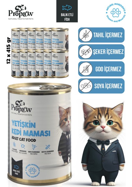 Kedi Yaş Mama Konserve Jöleli Premium Parça Etli Balıklı Yemek Besleyici Tahılsız Içerik 12 x 415 gr