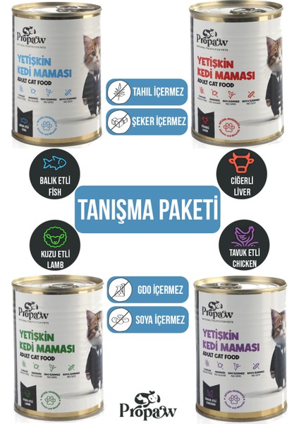 Kedi Yaş Mama Konserve Jöleli Premium Parça Etli Yemek Ciğerli / Tavuklu / Kuzulu / Balıklı 4'lü Set