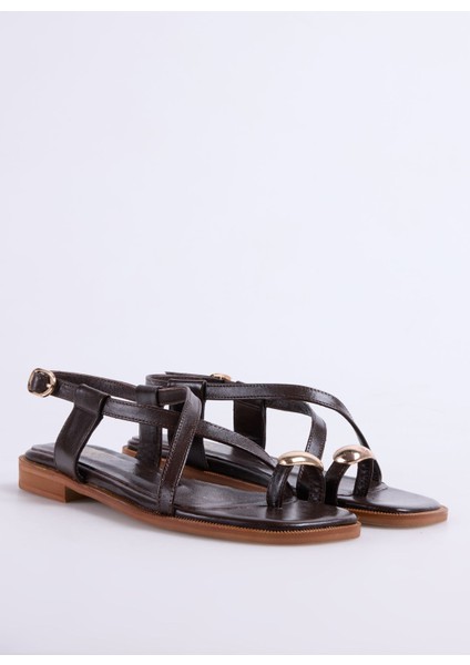 Deri Kahve Kadın Sandalet D-Lorna fiyatları