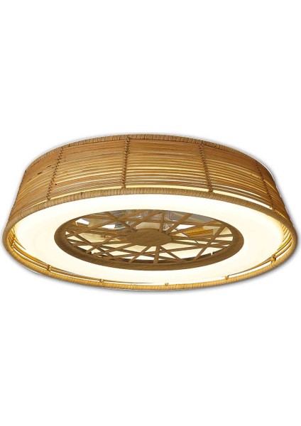 Orb-Vl8 Fan Ceılıng 25W LED
