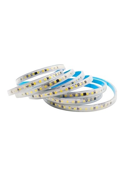 25MT 220 Volt Şerit LED ( Günışığı )(Yapışkanlı)