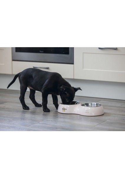 Köpek Ikili Mama ve Su Kabı, Paslanmaz Çelik, Pudra Pembe, 34X17,5CM, 2X350ML