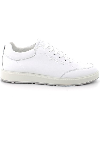 Erkek Sneaker ( Günlük) 7623211 Igı&co Ung 76232 Fıo.bott.martın Bianco