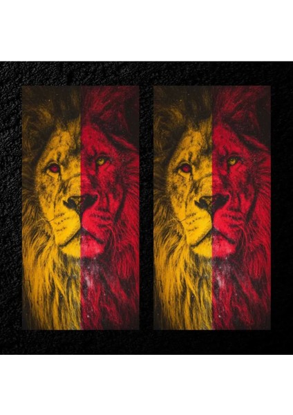 Araç Kapı Direği Kaplama Folyosu - Uv Baskılı - 2'li Set - 50X24 cm
