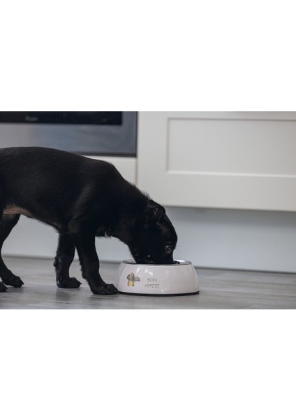 Köpek Mama Su Kabı, Paslanmaz Çelik, Pudra Pembe, 18CM, 350ML