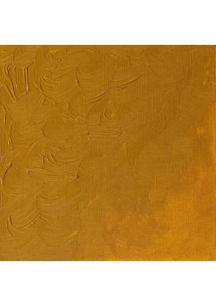 Winton Yağlı Boya 200ML Yellow Ochre 744