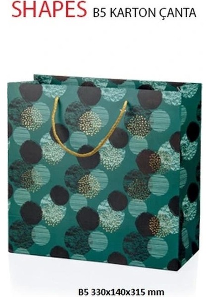 B5 Shapes Hediyelik Karton Çanta BG2634