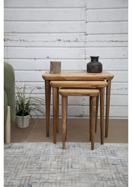 Kızılağaç Dikdörtgen 3 Lü Zigon Sehpa - D04