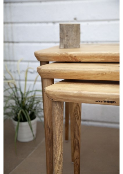 Kızılağaç Dikdörtgen 3 Lü Zigon Sehpa - D04 fırsatları