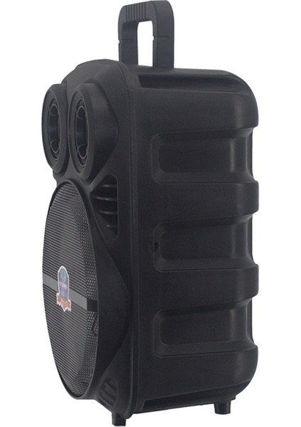 Pk-15 Fm Radyolu Mikrofonlu Rgb Tws 8 Inç Stereo Bass Kablosuz Karaoke Hoparlör indirimleri
