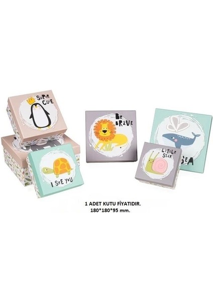 Bonny Kare Hediye Kutusu BX1540 C No:04,5 180X180X95 mm - Tekli