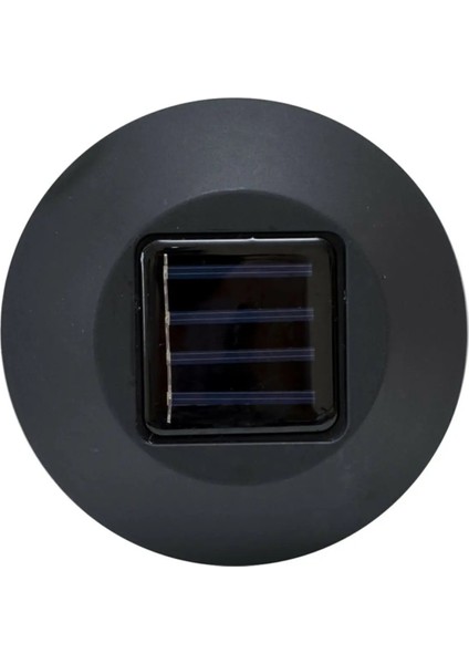 Solar Bahçe Lambası - Dev Boy (65 Cm)