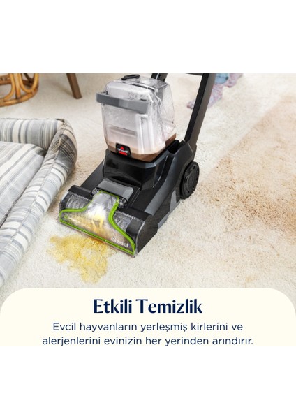 Powerwash Pet Evcil Hayvanlı Evlere Özel Halı – Koltuk Yıkama Makinesi