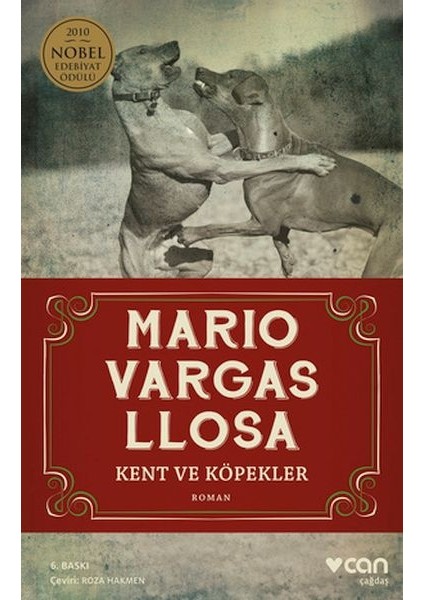 Kent ve Köpekler