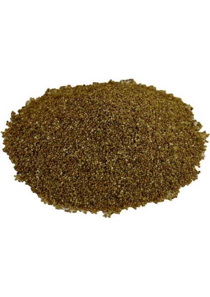 Haşhaş Tohumu Tane Doğal Sarı 100 gr Paket