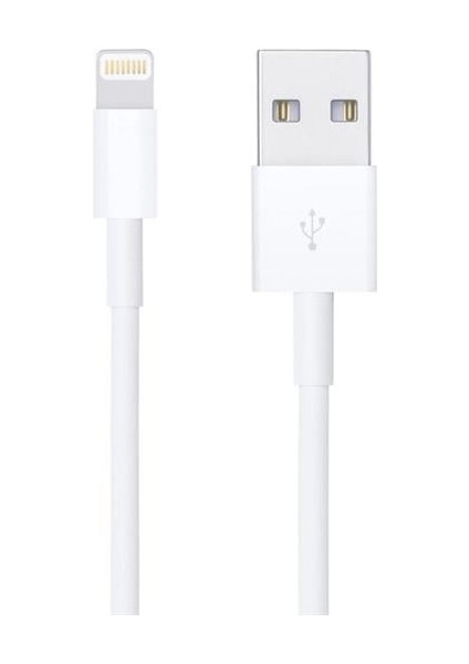 Powermaster DK-18295 Lightning 1 Metre Iphone Şarj-Data Kablosu