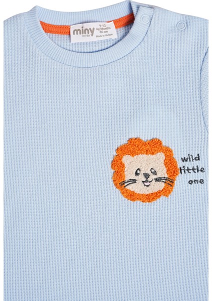 Sportif Nakış Detaylı Tişört-Şort Erkek Bebek Ikılı Takım fırsatları