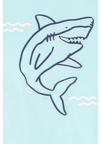 Erkek Bebek Şortlu Set fiyatları