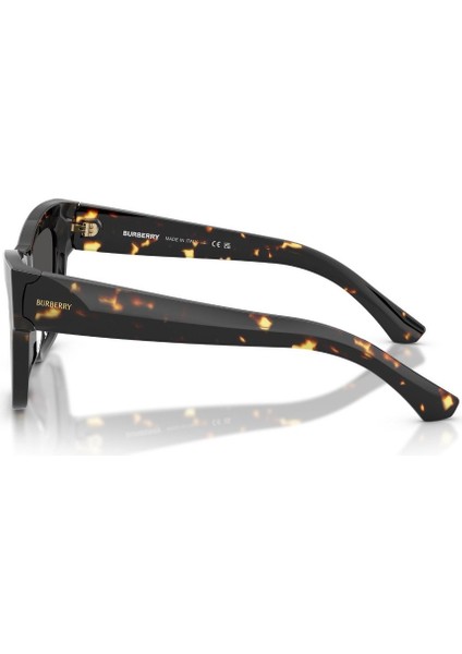 0be 4449 410687 53 Kadın Güneş Gözlüğü fiyatları