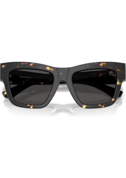 0be 4449 410687 53 Kadın Güneş Gözlüğü modelleri