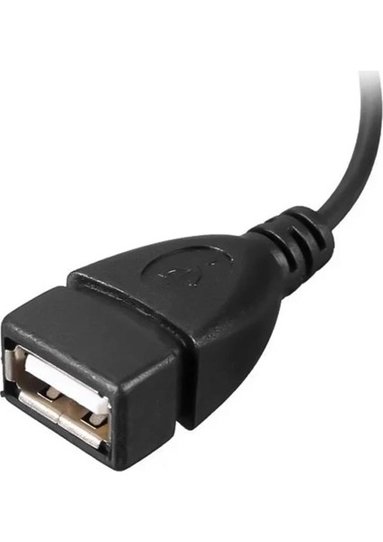 USB Dişi Micro USB Erkek-Dişi Y 20 cm Otg Kablo