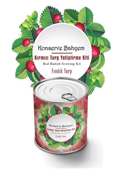 Konserve Bahçem Evde Konservede Fındık Turp Yetiştirme Kiti