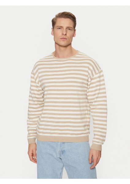 Çizgili Triko Kazak 12269031