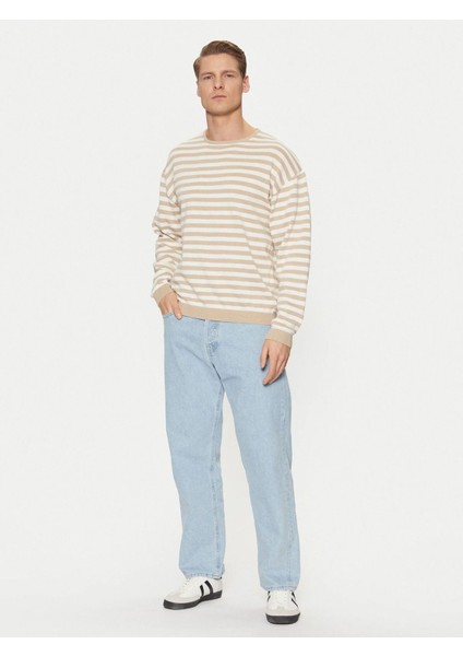 Çizgili Triko Kazak 12269031 fiyatları