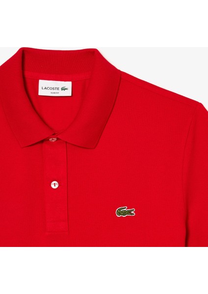 Erkek Polo Yaka T-Shirt