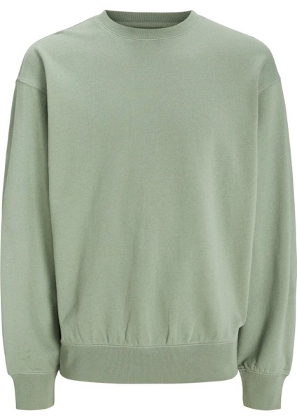 Erkek Bisiklet Yaka Düz Renk Sweatshirt 12257853