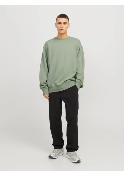 Erkek Bisiklet Yaka Düz Renk Sweatshirt 12257853 modelleri