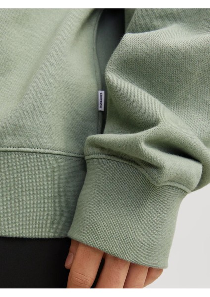 Erkek Bisiklet Yaka Düz Renk Sweatshirt 12257853 fırsatları