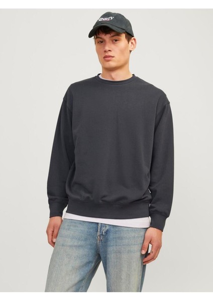 Erkek Bisiklet Yaka Düz Renk Sweatshirt 12257853