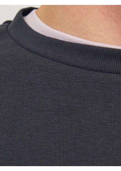 Erkek Bisiklet Yaka Düz Renk Sweatshirt 12257853 indirimleri