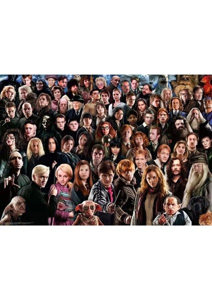 12000457 Harry Potter 1000 Parça Ravensburger Challenge Puzzle