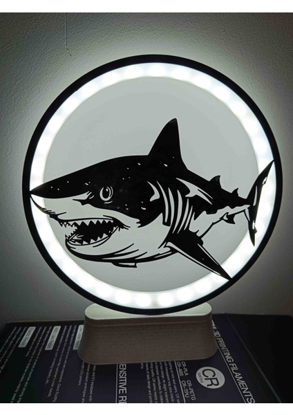 LED Işıklı modelleri