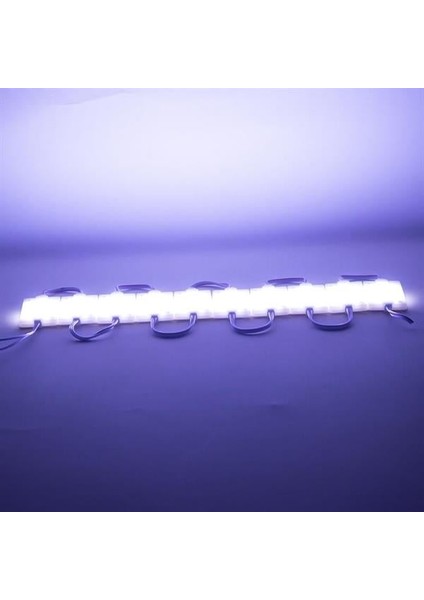 Powermaster Mat Yuvarlak Cob LED 30X44 mm Kasalı