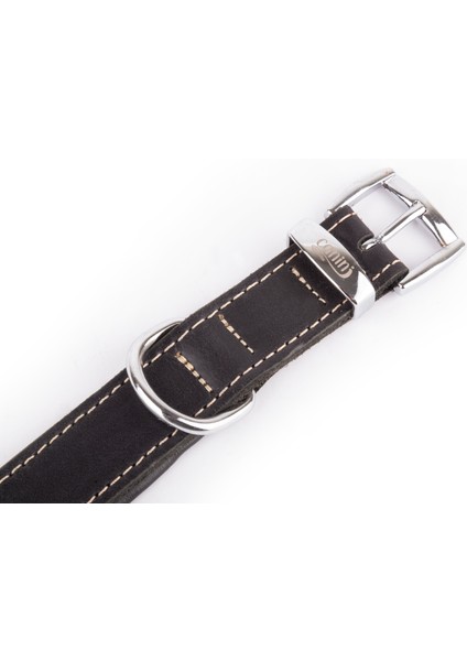 Canini Collar Hakiki Klasik Deri Köpek Tasması, Yumuşak Deri Iç Kısım, Ultra Dayanıklı ve Konforlu Deri Tasma - Renk ve Boy Seçenekleri, Siyah, XXS modelleri