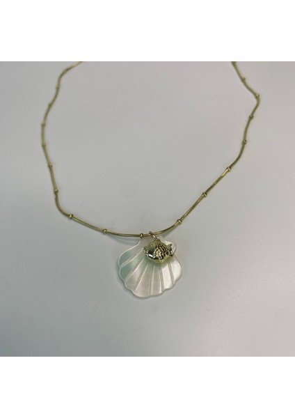 Deniz Kabuğu ve Balık Çelik Kolye fırsatları