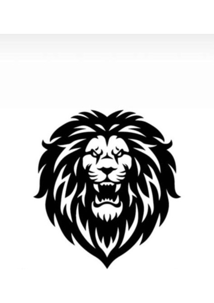 Aslan Tasarımlı Oto Sticker 20*20 cm