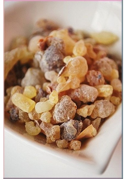 Akgünlük Sakızı 70 gr | Günlük Bitkisi | Ak Günlük | Doğal Ağaç Reçinesi