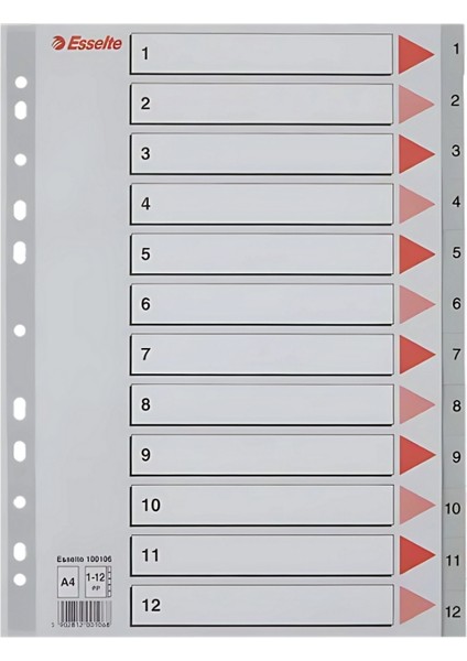 A4 Separatör,1-12 RAKAMLI,115 Mikron Pp,düzenli Arşivleme Için