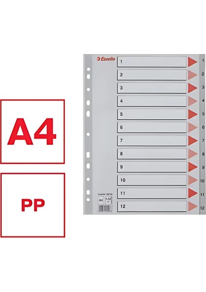A4 Separatör,1-12 RAKAMLI,115 Mikron Pp,düzenli Arşivleme Için