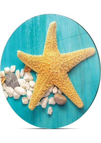 Cam Kesme Tahtası Yuvarlak Turkuaz Deniz Yıldızı Desenli fırsatları