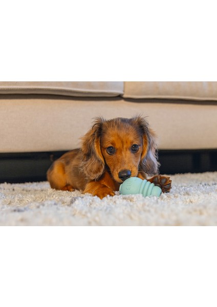 Yavru Köpek Sumo Mını Dental Oyuncak Xs Dpmah