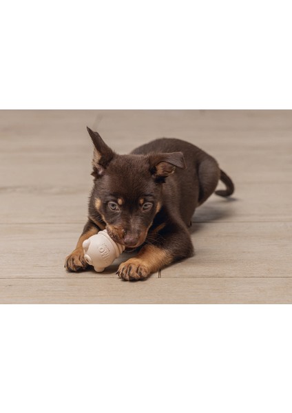 Yavru Köpek Sumo Mını Dental Oyuncak Xs Dpmah