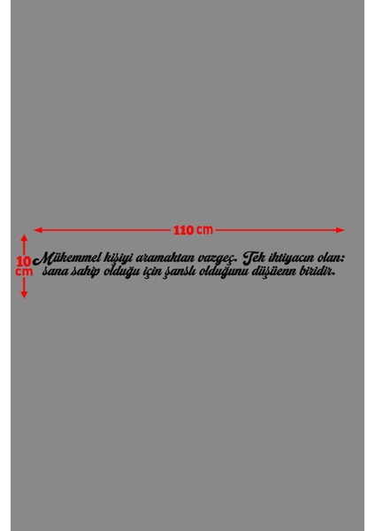 Oto Cam Yazı Sözleri Ticari-Servis-Dolmuş-Panelvan Uzun Sticker Model 29 fiyatları
